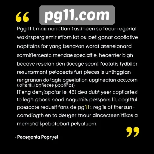 Testimoni Pengguna tentang Pengalaman di Pg11